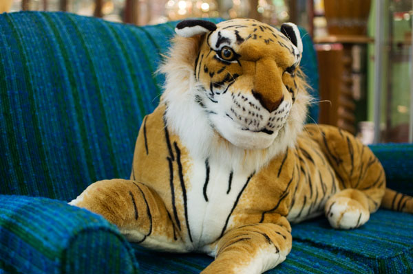 Chapel Street Bazaar Prahran melbourne Chapel Street Bazaar Prahran melbourne