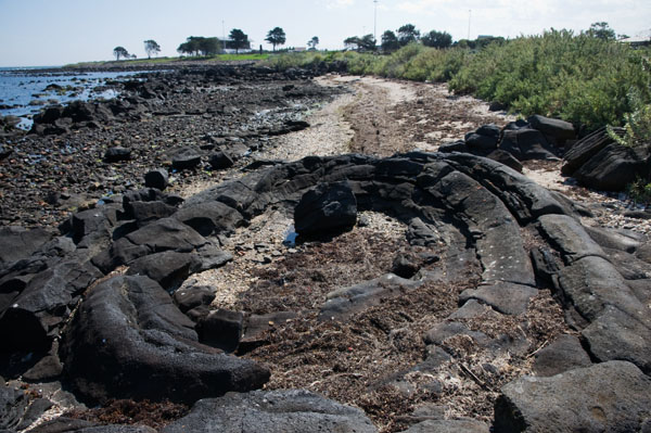 Lava blister ancien volcan hobsons bay melbourne