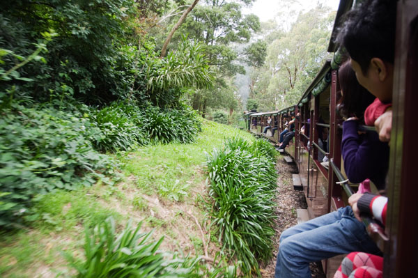 Puffing Billy Belgrave Gembrook