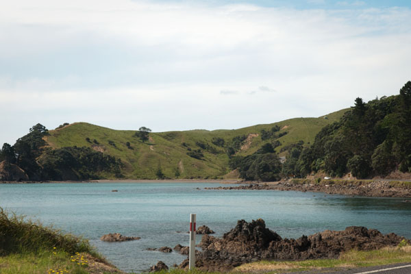 Coromandel Nouvelle-Zélande île du nord