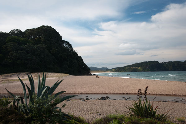 Hot Water Beach Coromandel Nouvelle Zélande