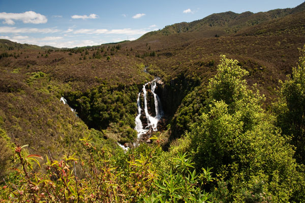 Cascade en forêt de Nouvelle Zélande