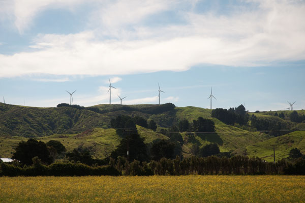 Paysage composé d'éoliennes Nouvelle Zélande