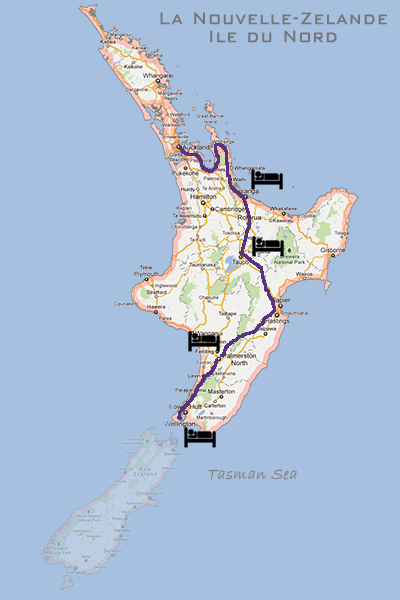 Nouvelle Zélande - road trip dans l'île du nord