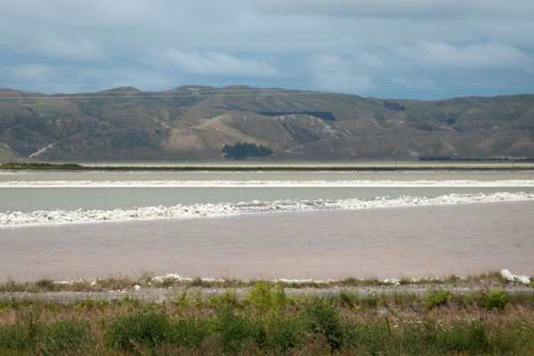 marées salants de nouvelle zélande