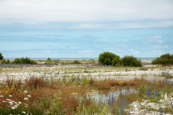 Nouvelle Zélande sauvage