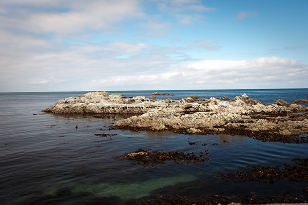 Kaikoura sunset