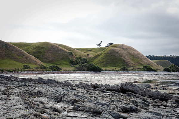 nouvelle-zélande ville de kaikoura
