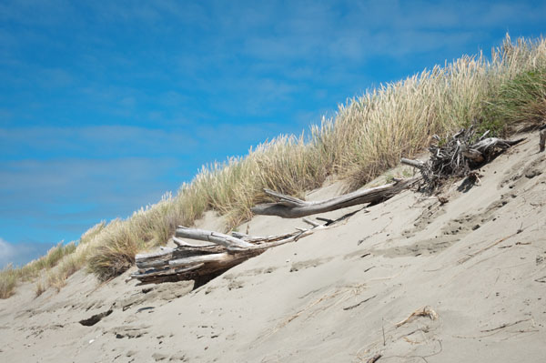 Plage sauvage de Waikuku Beach
