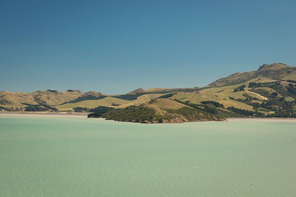 Lyttelton Harbour