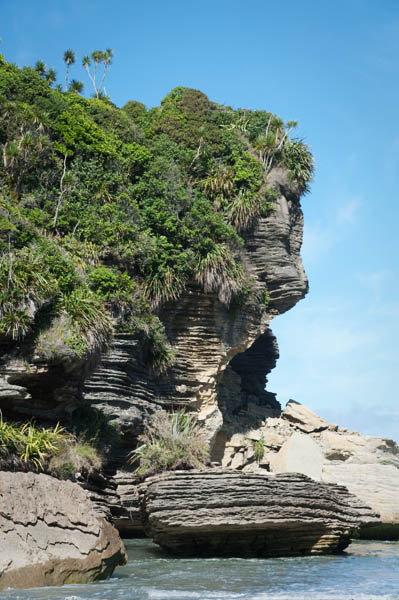 Plage de Punakaiki Resort 