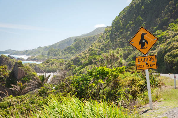 Cape Foulwind Nouvelle-Zélande