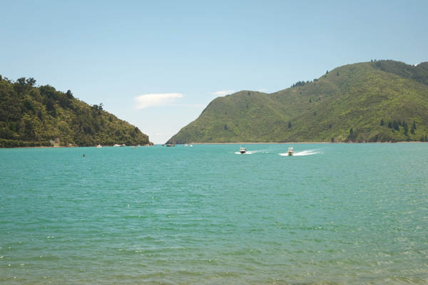 Plage de Okiwi Bay en Nouvelle Zélande