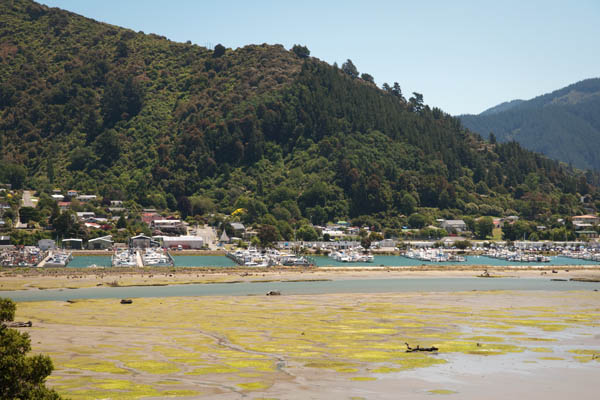 Waikawa Bay proche de Picton en Nouvelle-zélande