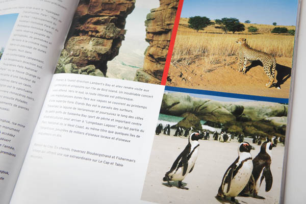 Voir des pingouins en Afrique du Sud