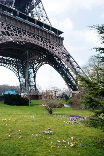 La dame de fer en fleurs