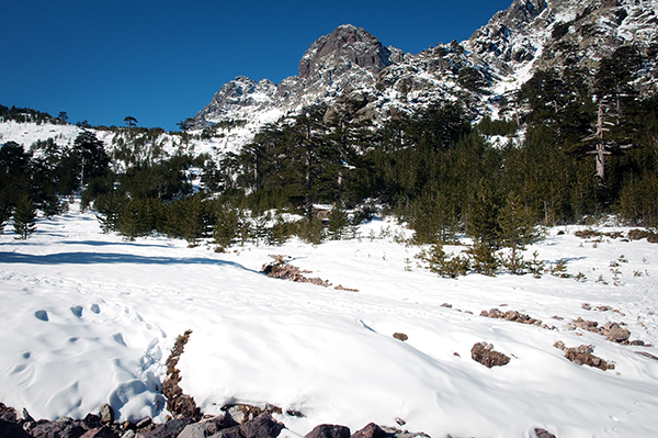 Paysage enneigé de Asco en Corse Paysage enneigé de Asco en Corse