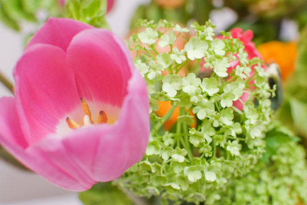 Zoom sur la tulipe et la boule de neige du bouquet