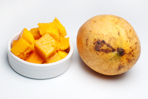 Mangue José de l'ile de la Réunion