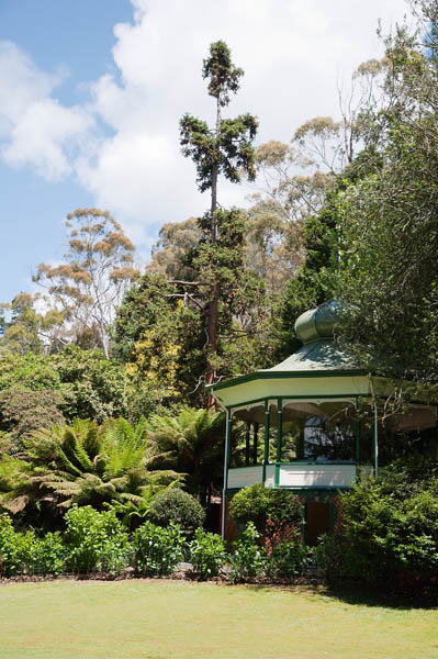 Le Parc de Cataracte Gorge à Launceston Tasmanie