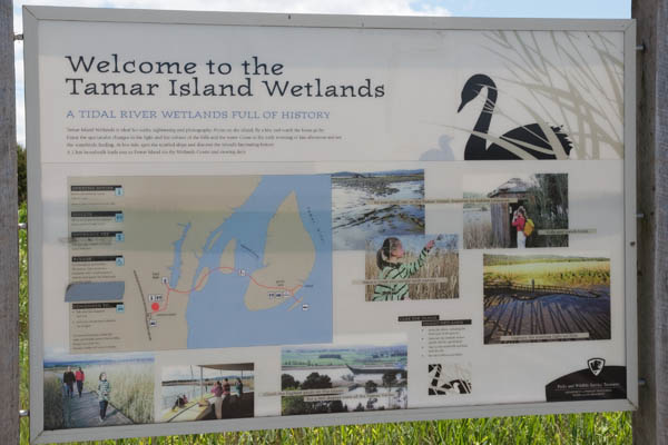 Itinéraire tamar island wetlands reserve