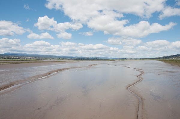 Tamar island wetlands reserve