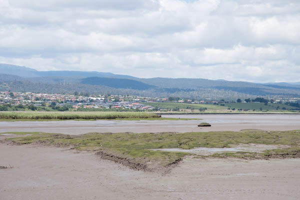 Tamar Island wetlands reserve Tasmanie