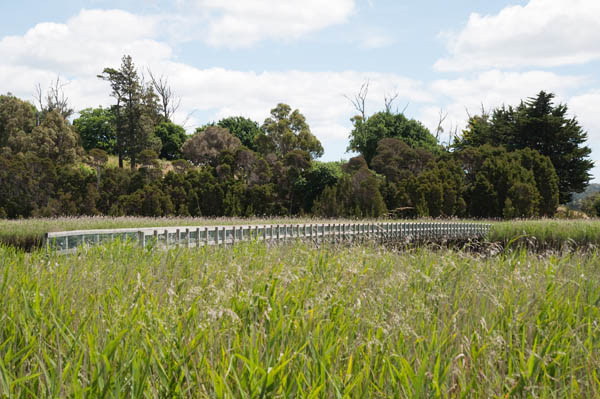 tamar island wetlands reserve tasmanie