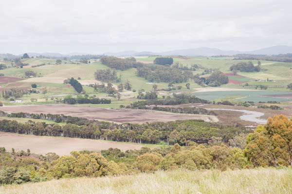 La rivière de Forth, Mt Montgomery et Ulverstone au loin sur la droite La rivière de Forth, Mt Montgomery et Ulverstone au loin sur la droite