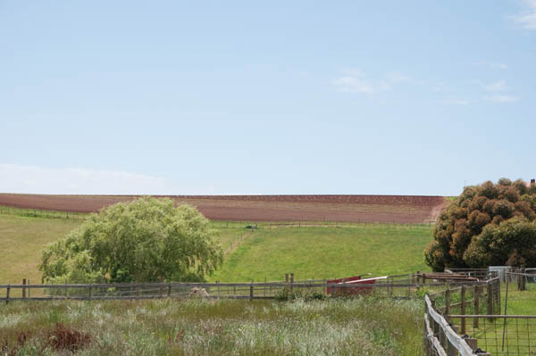 région de Wilmot tasmanie région de Wilmot tasmanie