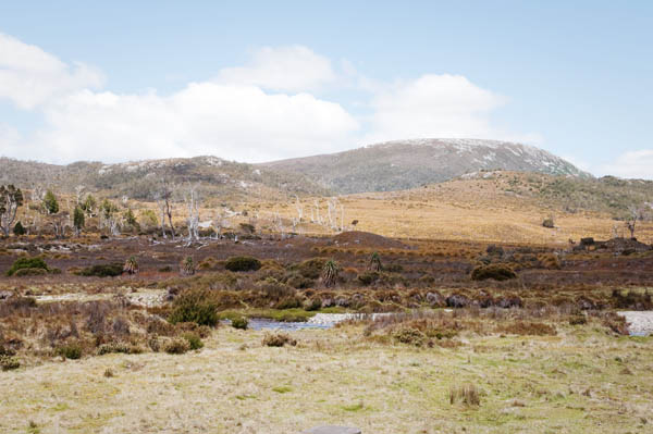 Craddle Mountain Tasmanie Craddle Mountain Tasmanie