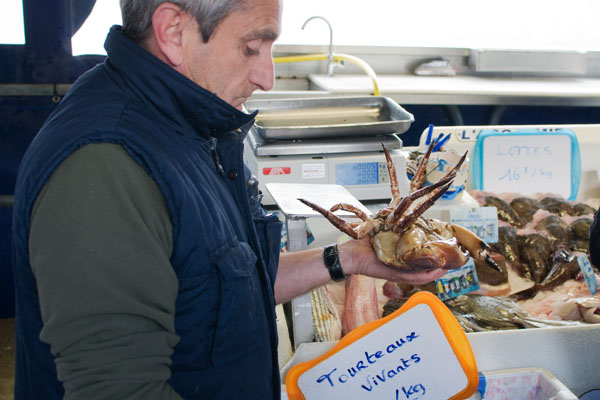 Marché aux poissons de Capbreton Marché aux poissons de Capbreton