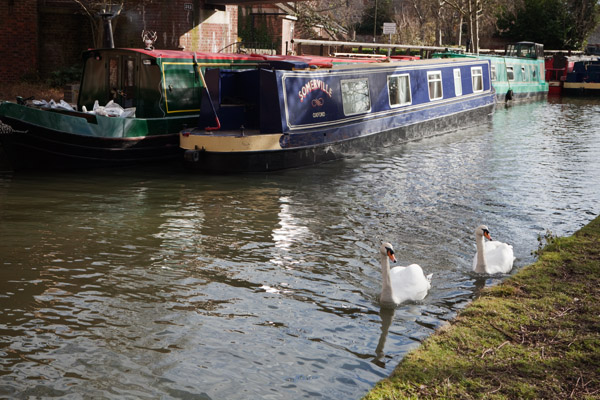 Balade en barque sur la Tamise
