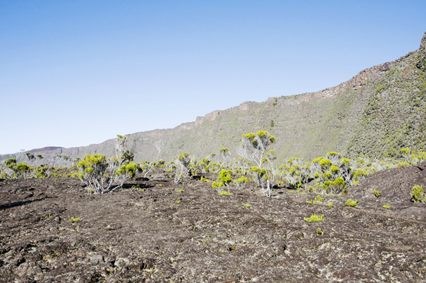 Piton de la Fournaise Run2010 591 Les Hauts Lieux de la Réunion