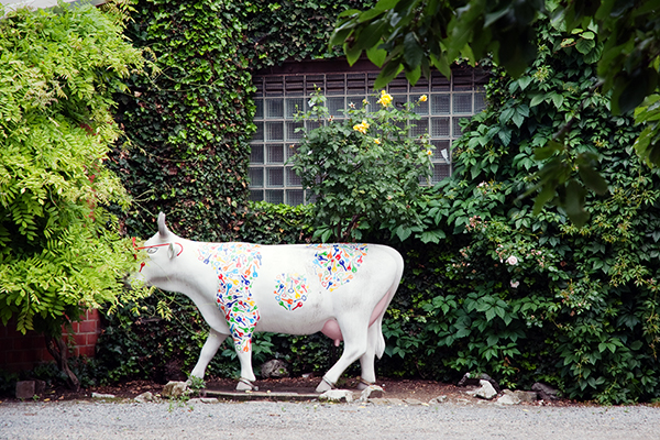 La Photo du Mois thème la vie en vert La Photo du Mois thème la vie en vert