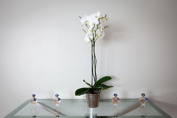 Spa Guerlain de Versailles Spa Guerlain de Versailles