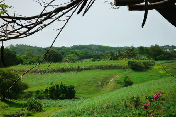 Voyage en Guadeloupe Voyage en Guadeloupe