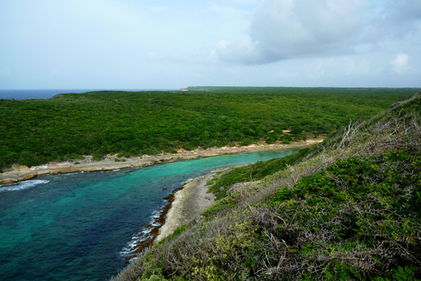 Voyage en Guadeloupe Voyage en Guadeloupe