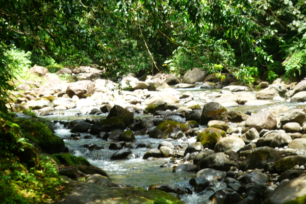 Voyage en Guadeloupe Voyage en Guadeloupe