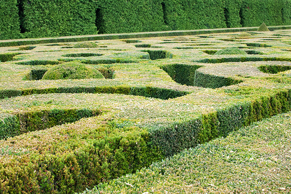Jardins à la française Château de Hautefort Jardins à la française Château de Hautefort