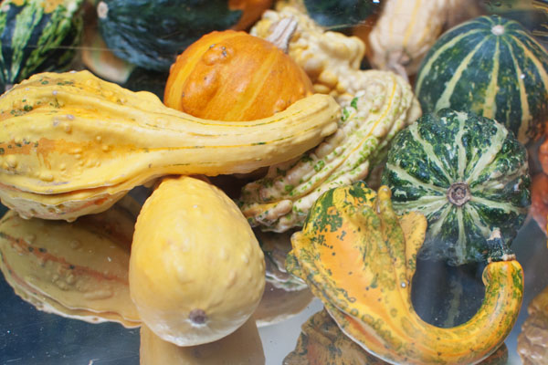 Boutique-Hôtel Villa Madame Paris 6 Boutique-Hôtel Villa Madame Paris 6