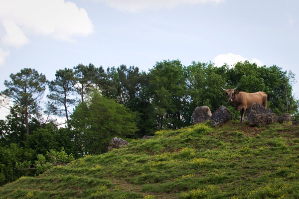 Thot à Thonac Thot à Thonac
