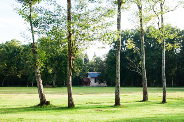 Domaine de la Trigalière Domaine de la Trigalière