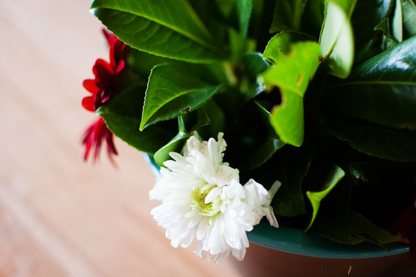Intérieur de la maison Le Potager - Domaine de la Trigalière Intérieur de la maison Le Potager - Domaine de la Trigalière