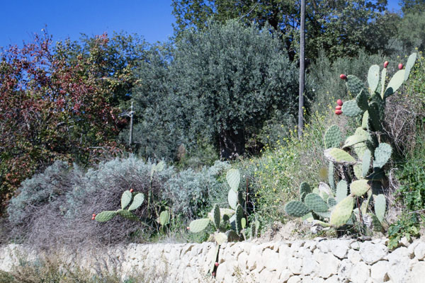 Road Trip Sicile de Syracusa à Agrigento Road Trip Sicile de Syracusa à Agrigento