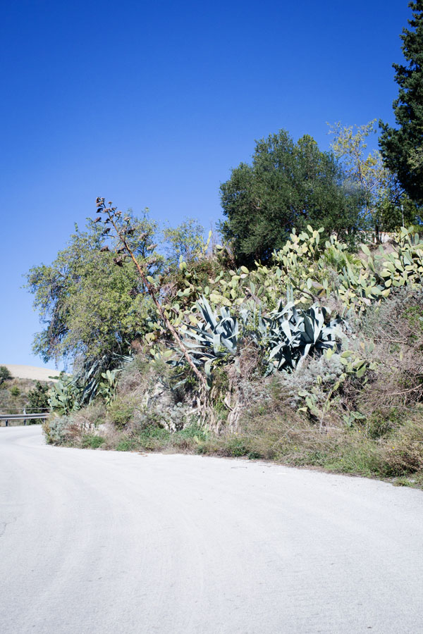 Road Trip Sicile de Syracusa à Agrigento Road Trip Sicile de Syracusa à Agrigento