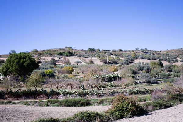 Road Trip Sicile de Syracusa à Agrigento Road Trip Sicile de Syracusa à Agrigento