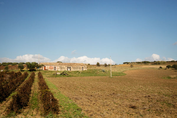 Sur la route vers Trapani en Sicile Sur la route vers Trapani en Sicile