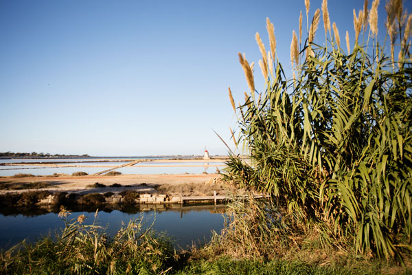 Sur la route vers Trapani en Sicile Sur la route vers Trapani en Sicile