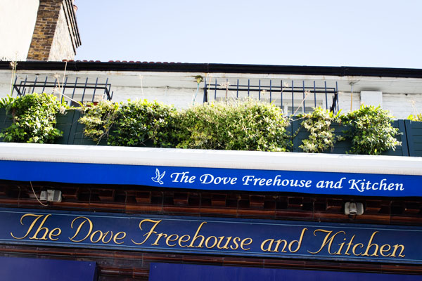 Pub The Dove FreeHouse & Kitchen Pub The Dove FreeHouse & Kitchen